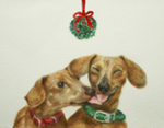 Mistletoe Doxies